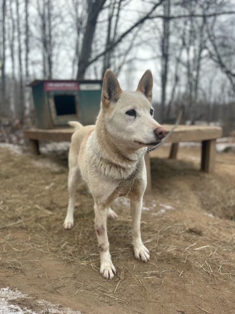 Missy photo 6