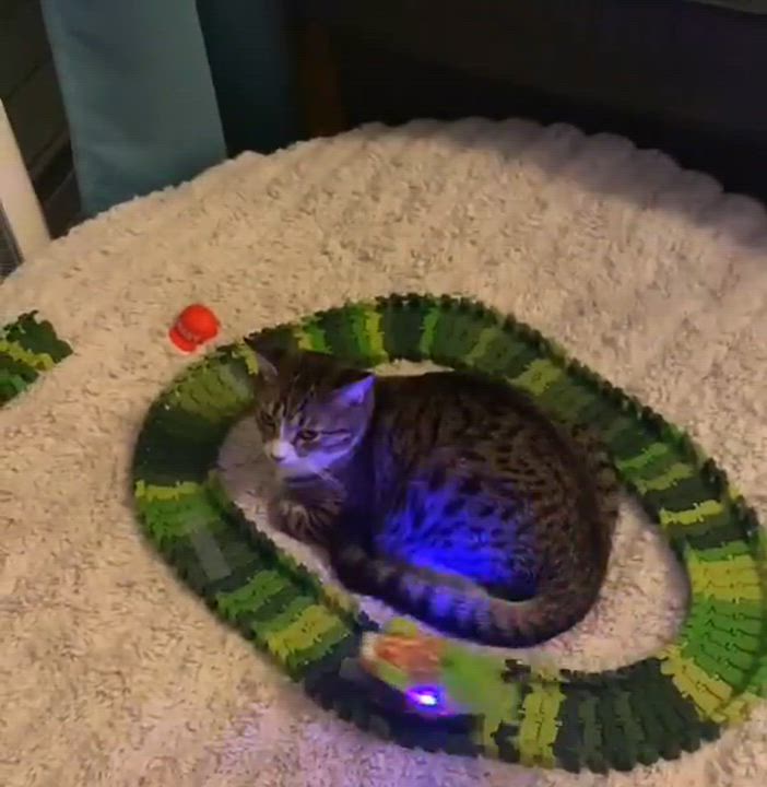 Enlarge Heidi *Sponsored + 20% off* Cool Litter, a Adoptable mixed breed in Gladstone, OR video 5/6