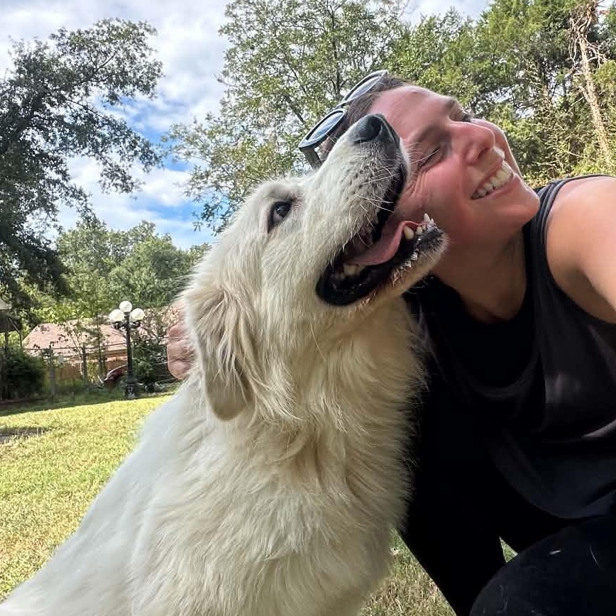 Enlarge Lady, a Adoptable Great Pyrenees in Arlington, TN image 3/6