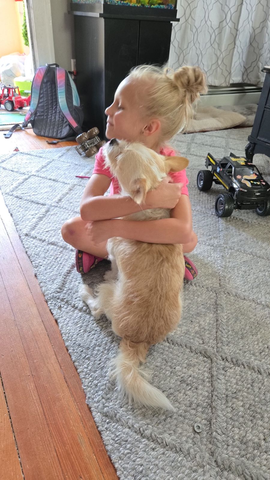 Enlarge HOMER, a Adopted mixed breed in Mount Royal, NJ image 1/5