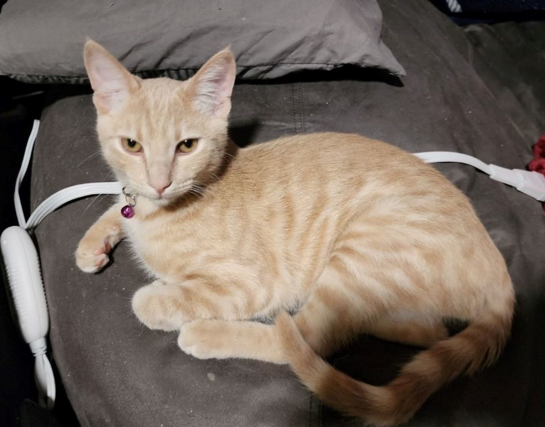 Frasier, Baby Male unknown