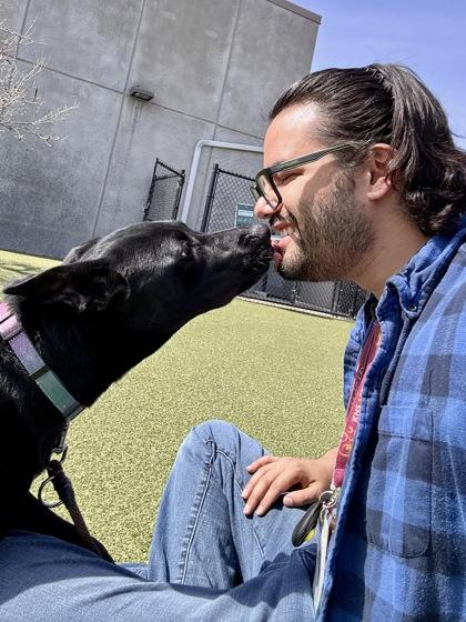 Enlarge Bonnie, a Adoptable mixed breed in Wichita, KS image 3/3