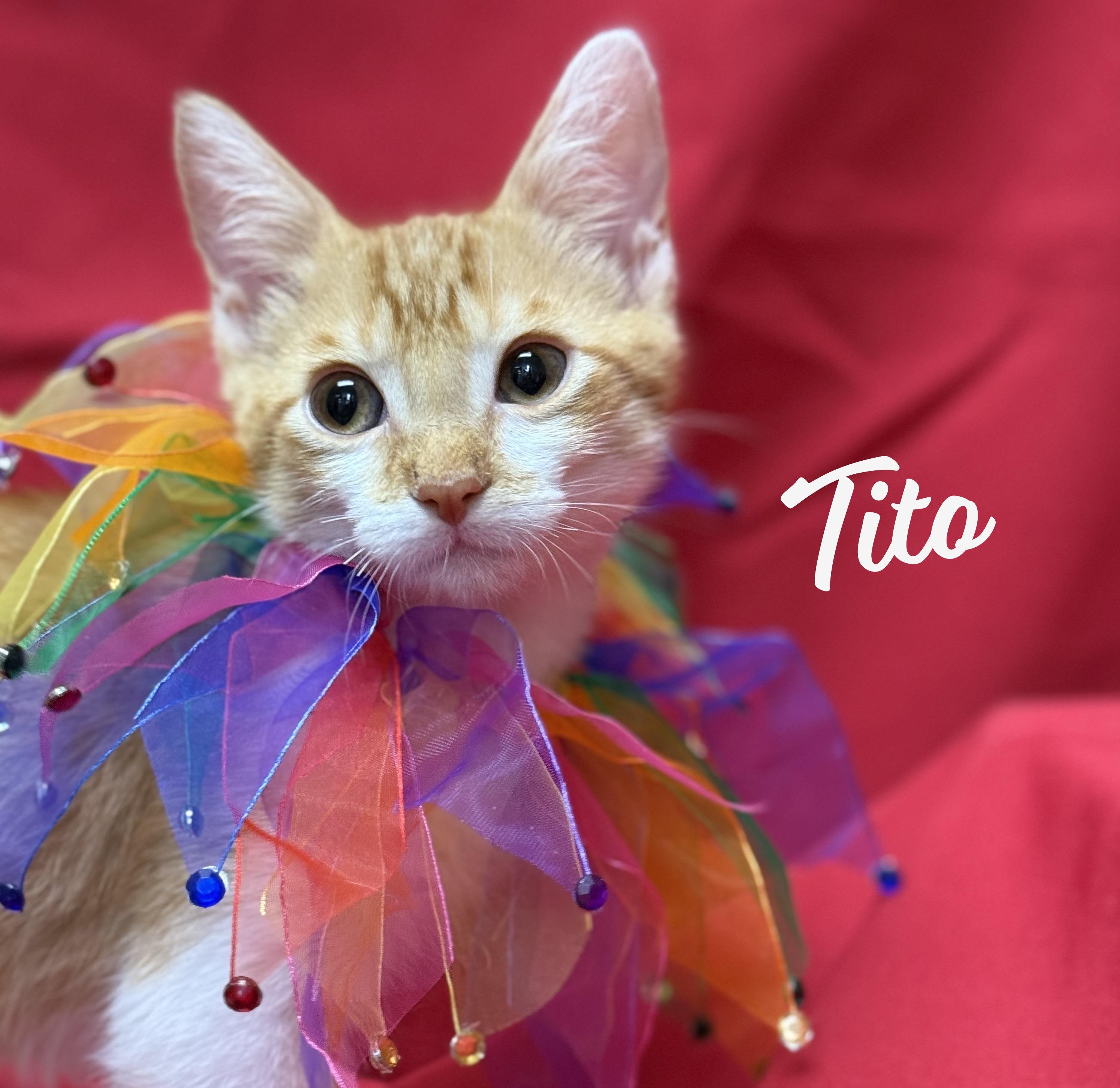 Tito #brother-of-Henry