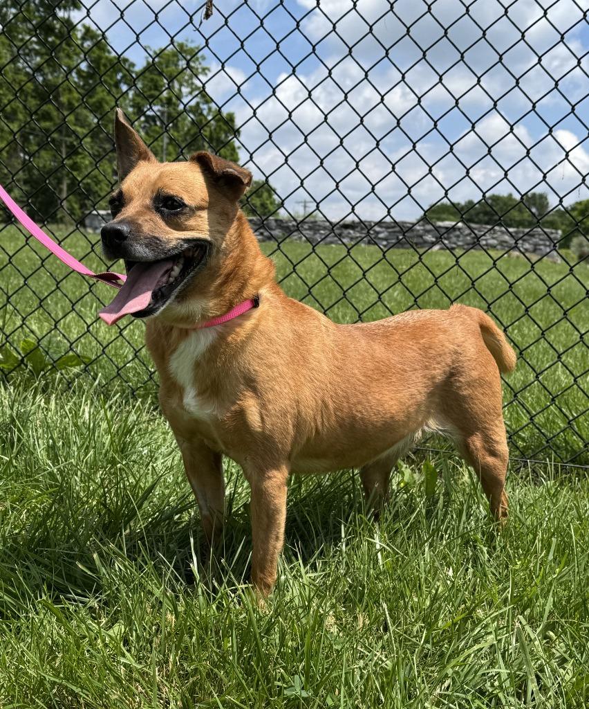 Lilo, Adult Female unknown