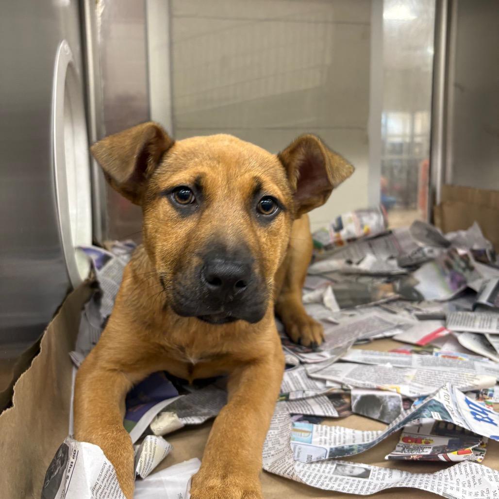 Demi — thumbnail 2