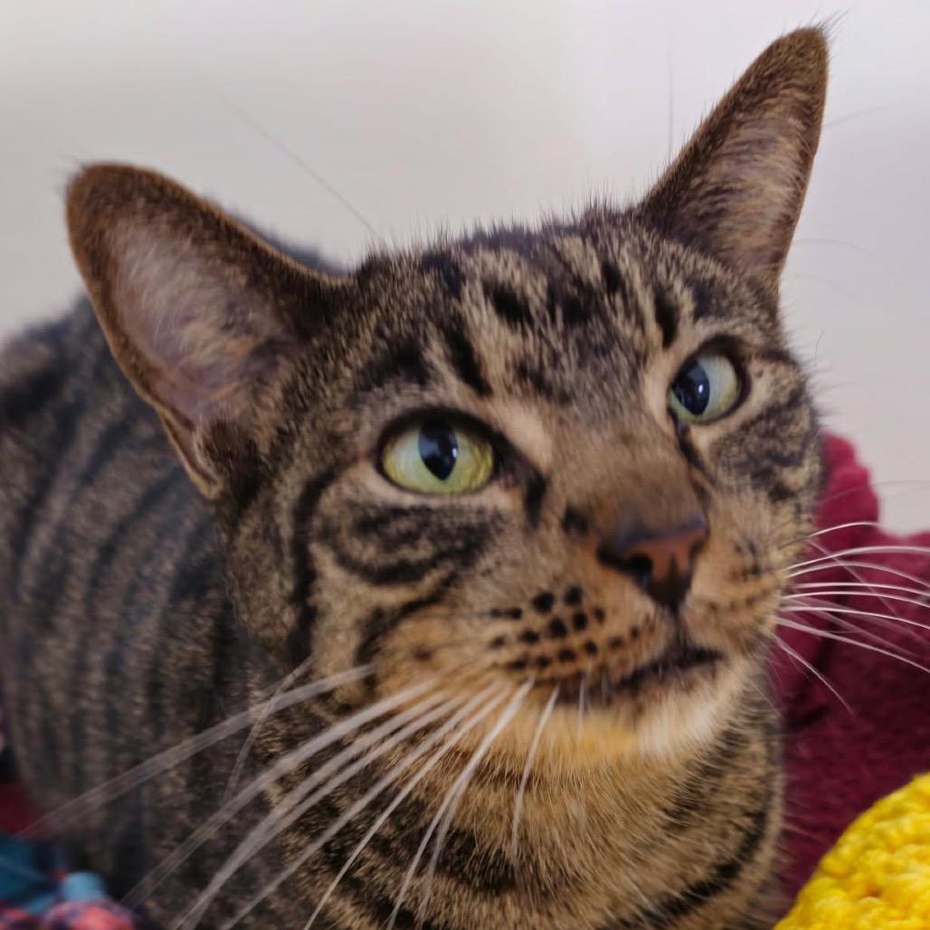 Fire — thumbnail 3