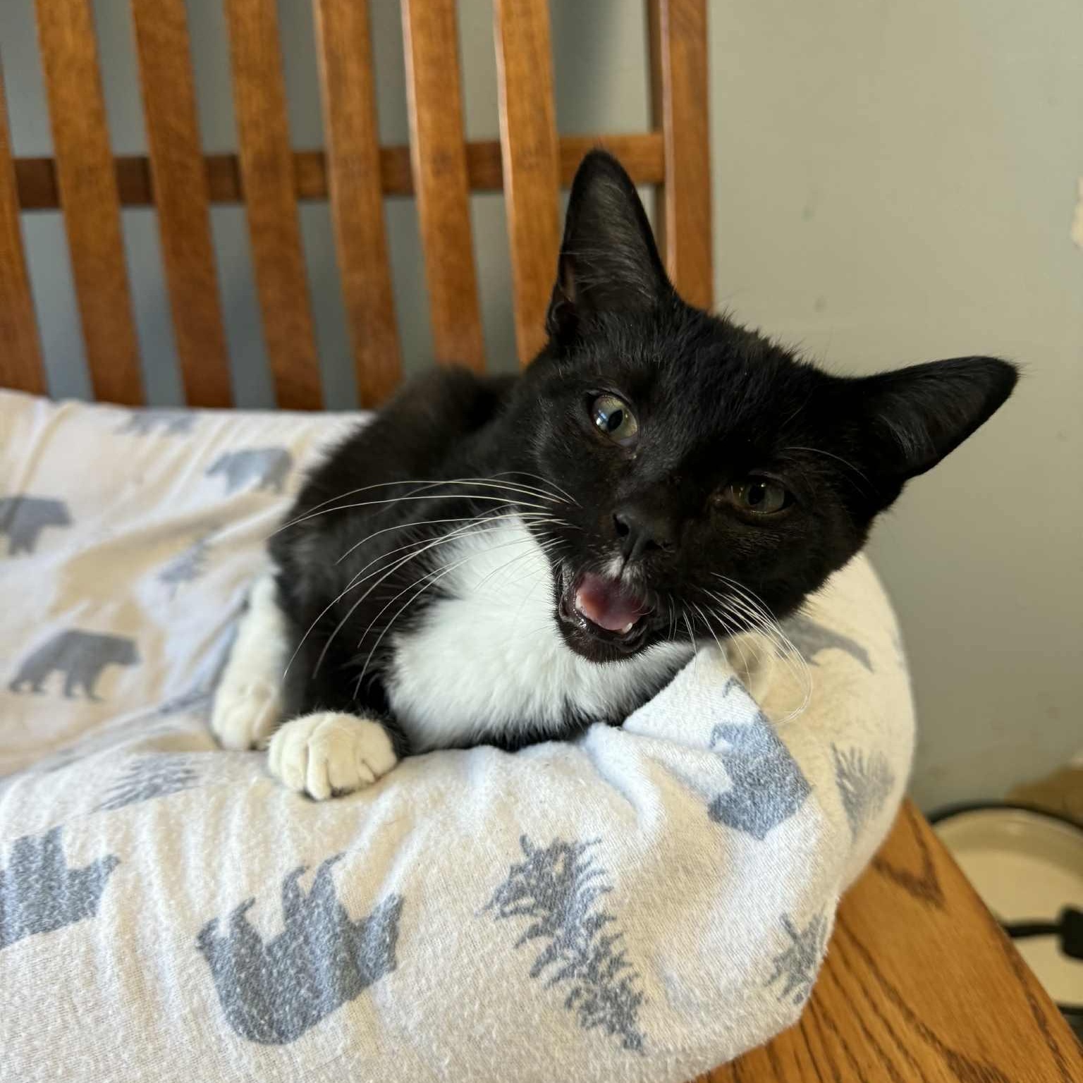 Sorcerer thumbnail 3