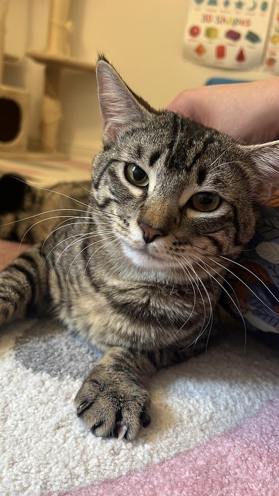 Eric — thumbnail 3