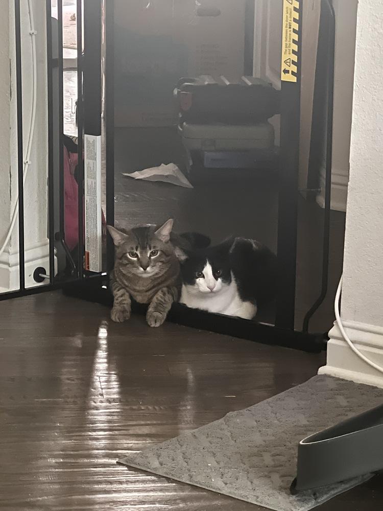 Eric — thumbnail 4