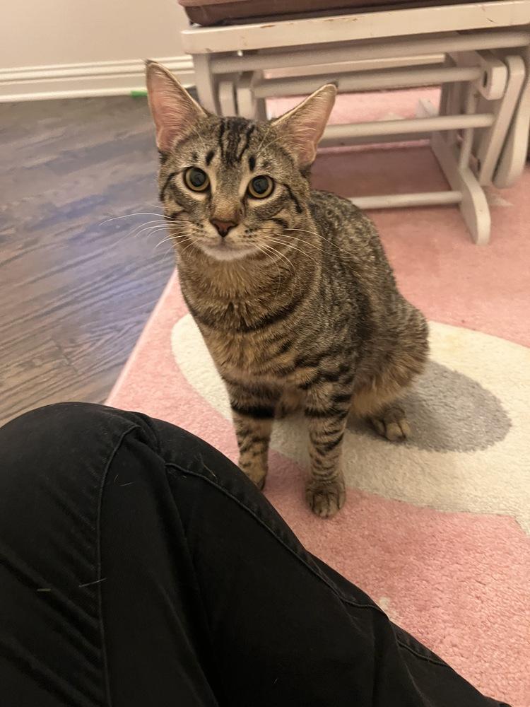 Eric — thumbnail 5