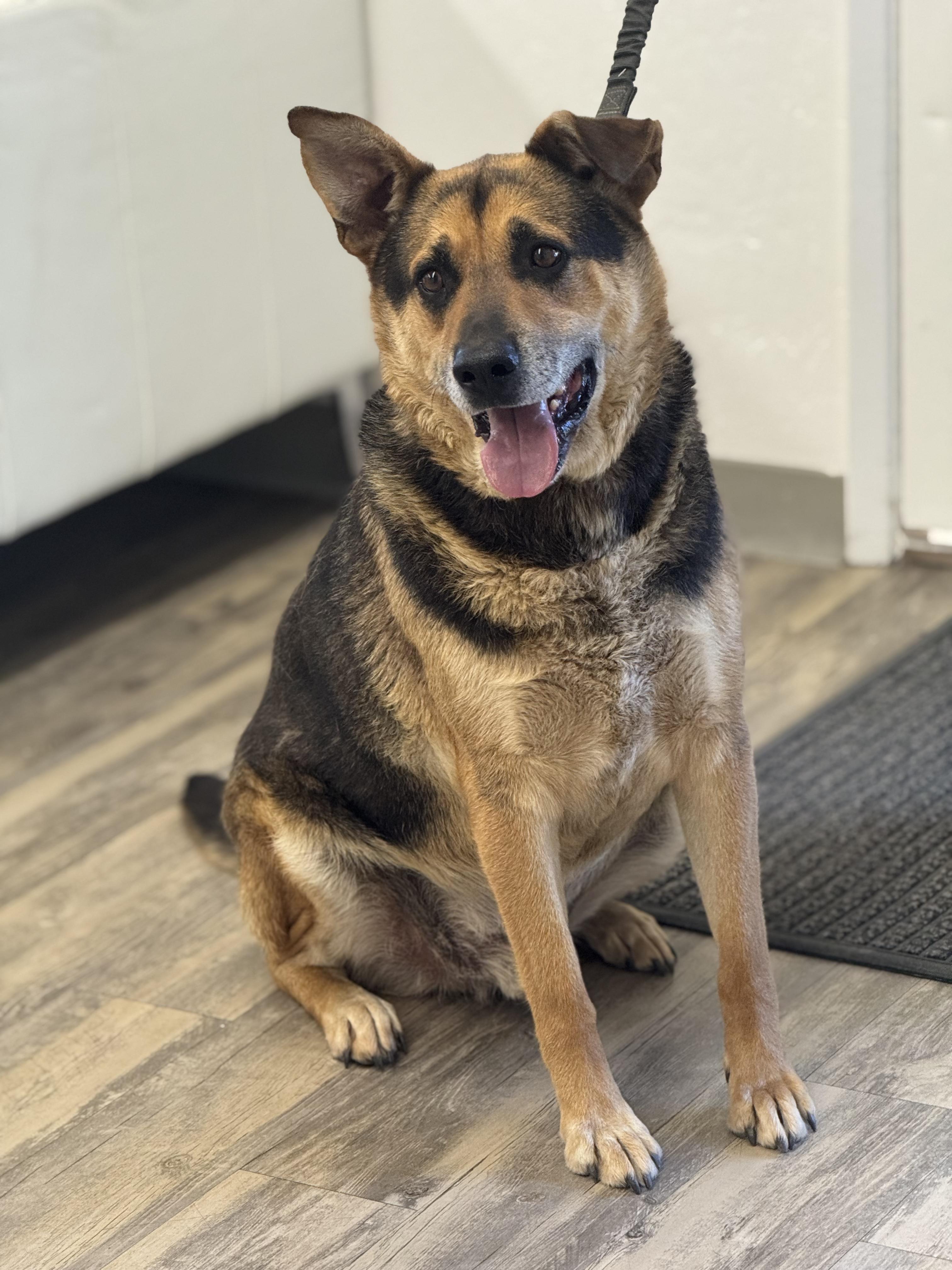 Roscoe