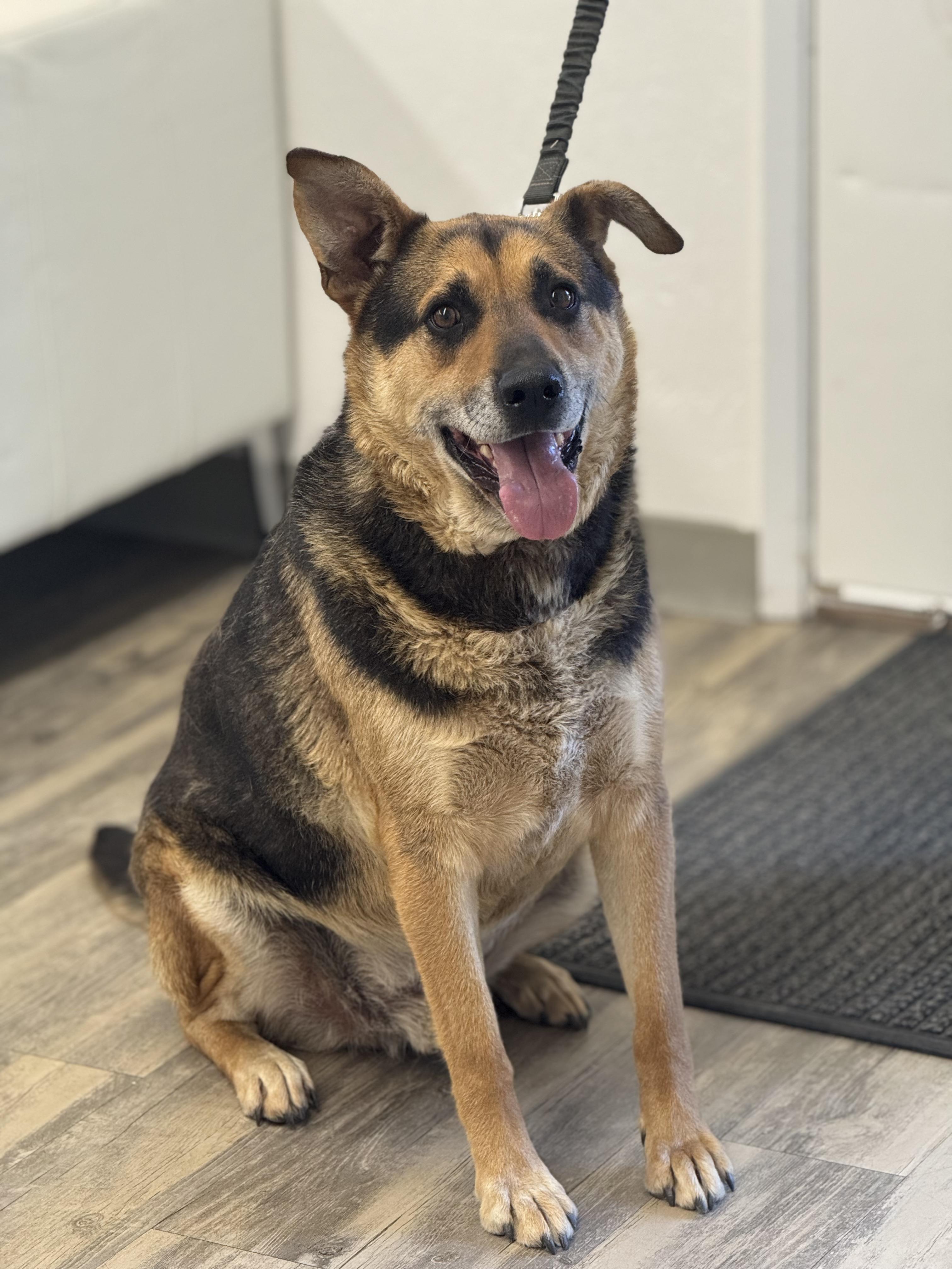 Roscoe
