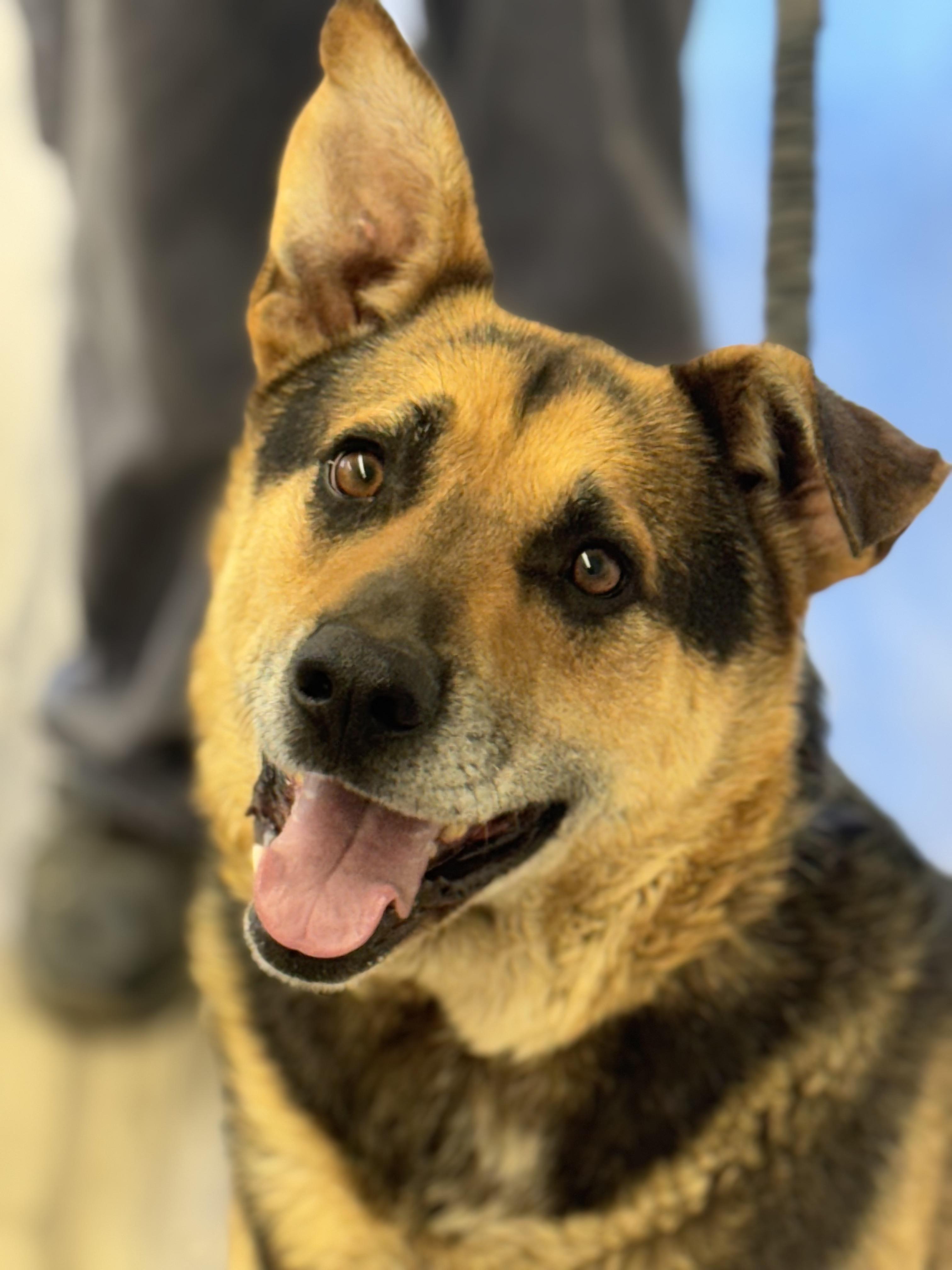 Roscoe