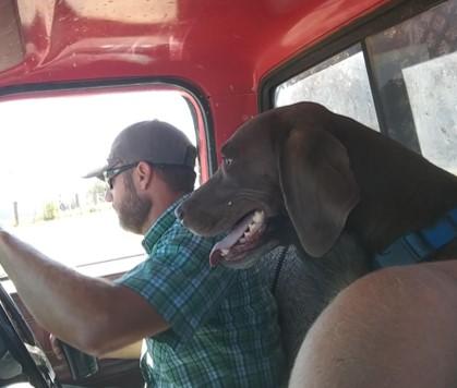 Chief — thumbnail 2