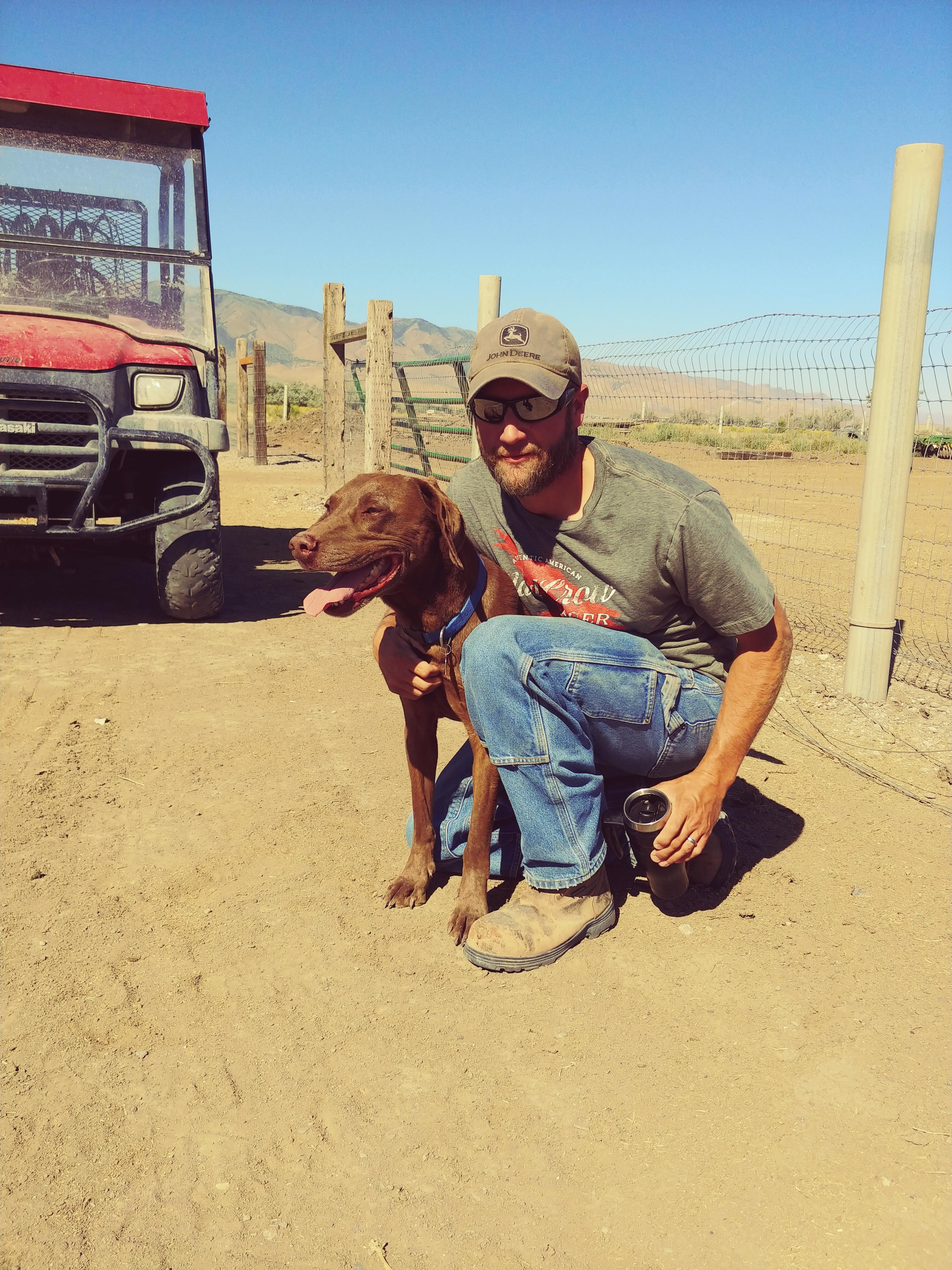 Enlarge Chief, a Adoptable mixed breed in Grantsville, UT image 4/6
