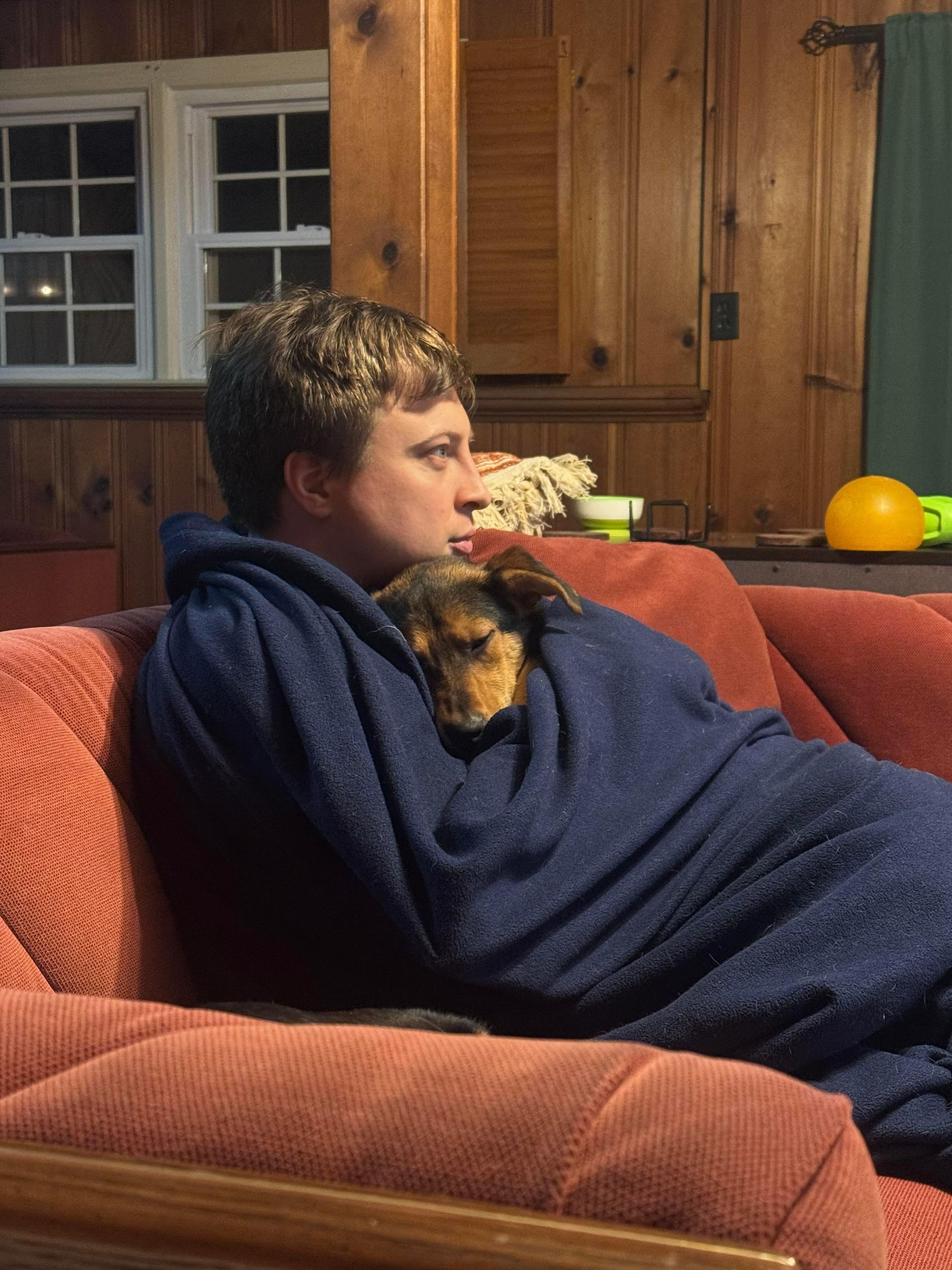 Enlarge Ellie, a ADOPTABLE mixed breed in Bethlehem, PA image 4/5