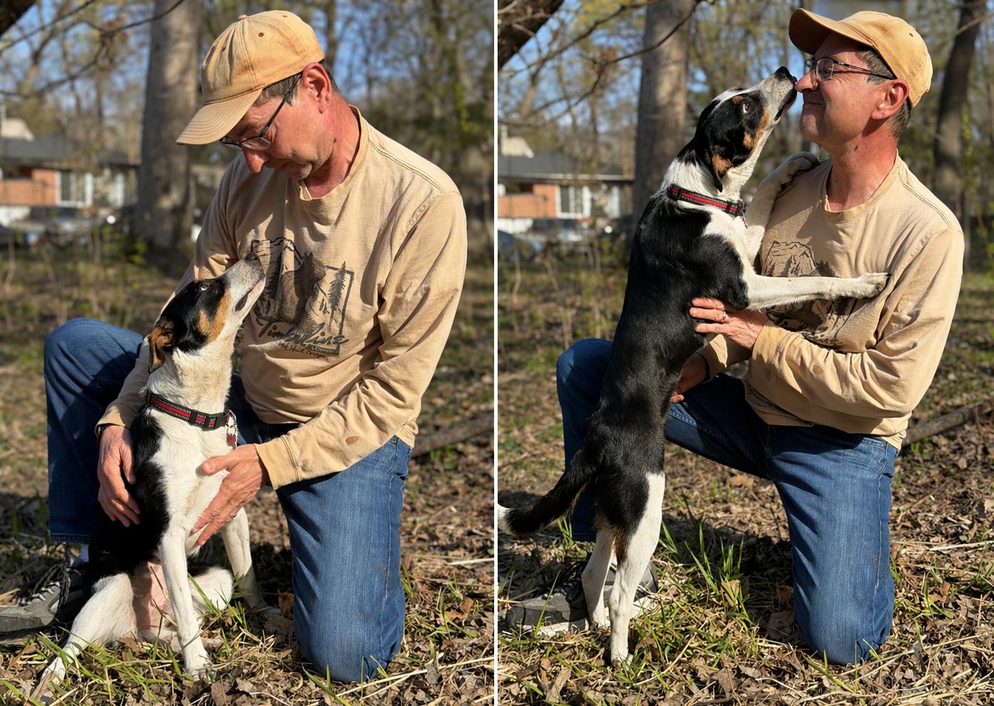 Roxie , ADOPTABLE, Young Female Border Collie.