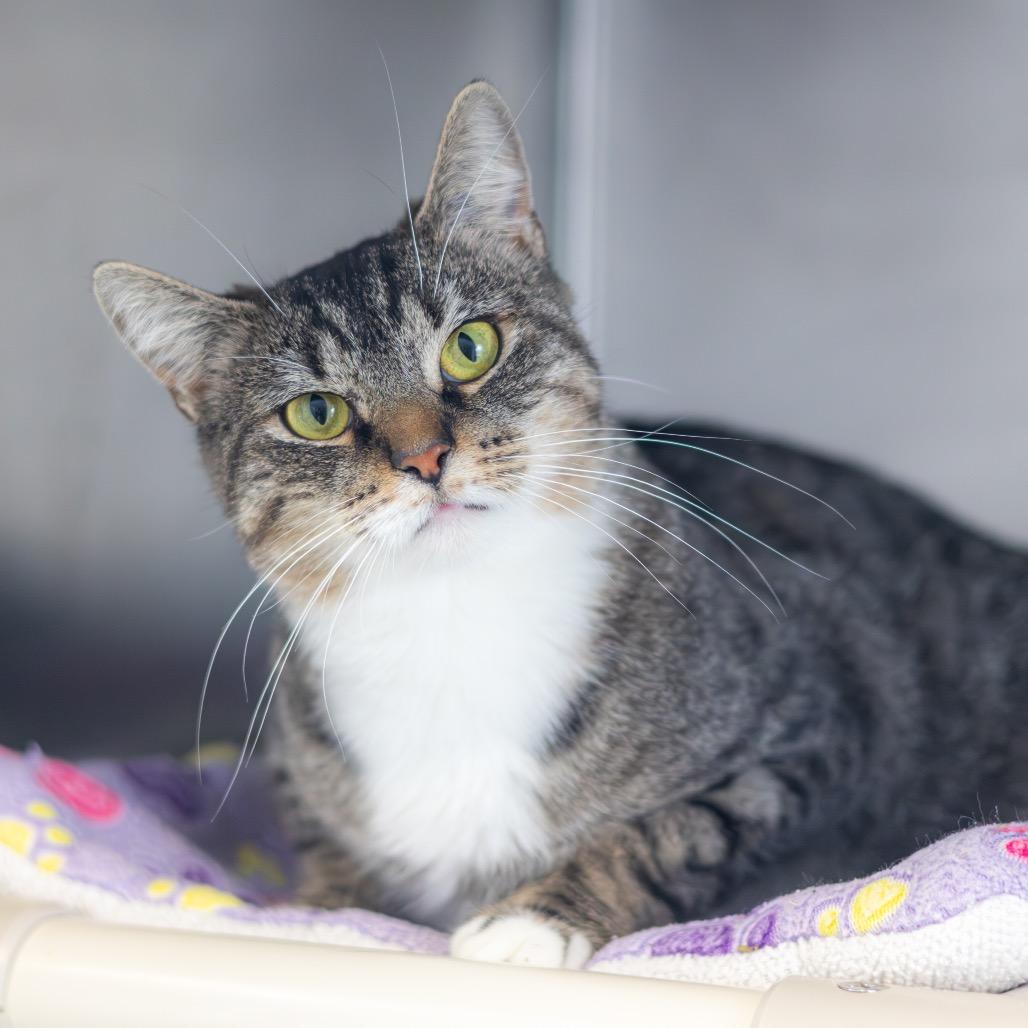 Freda — thumbnail 2