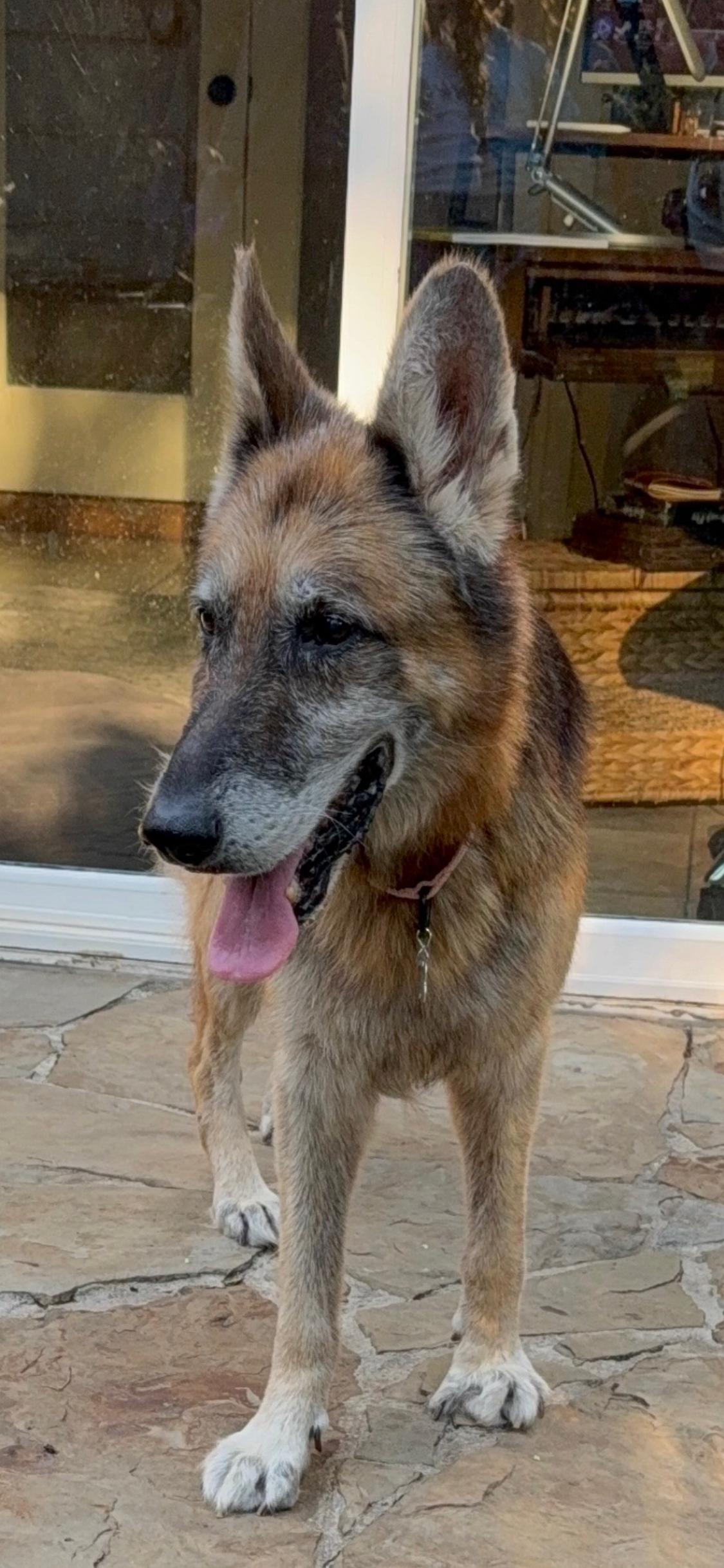 Gramps — thumbnail 4