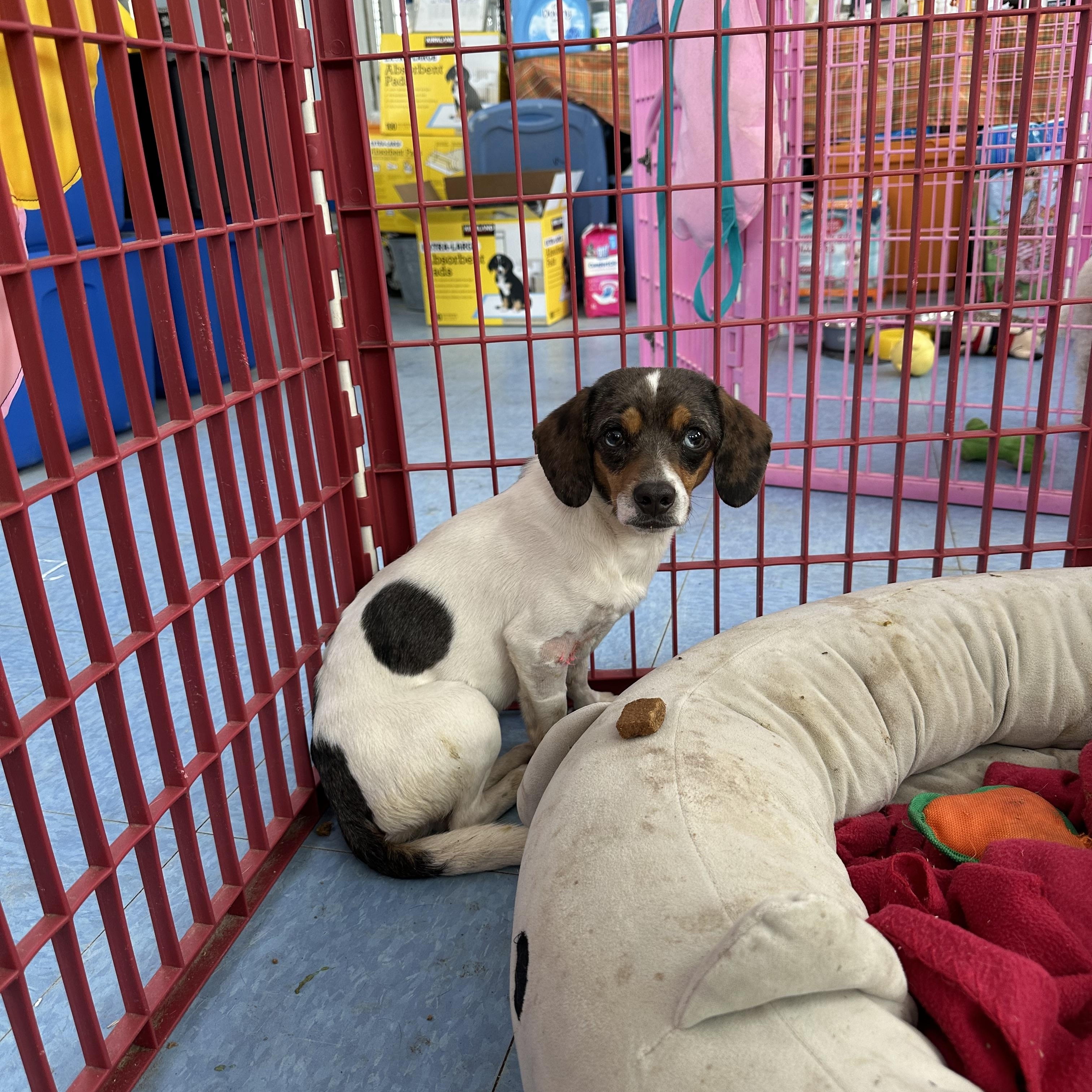 Landon — thumbnail 2