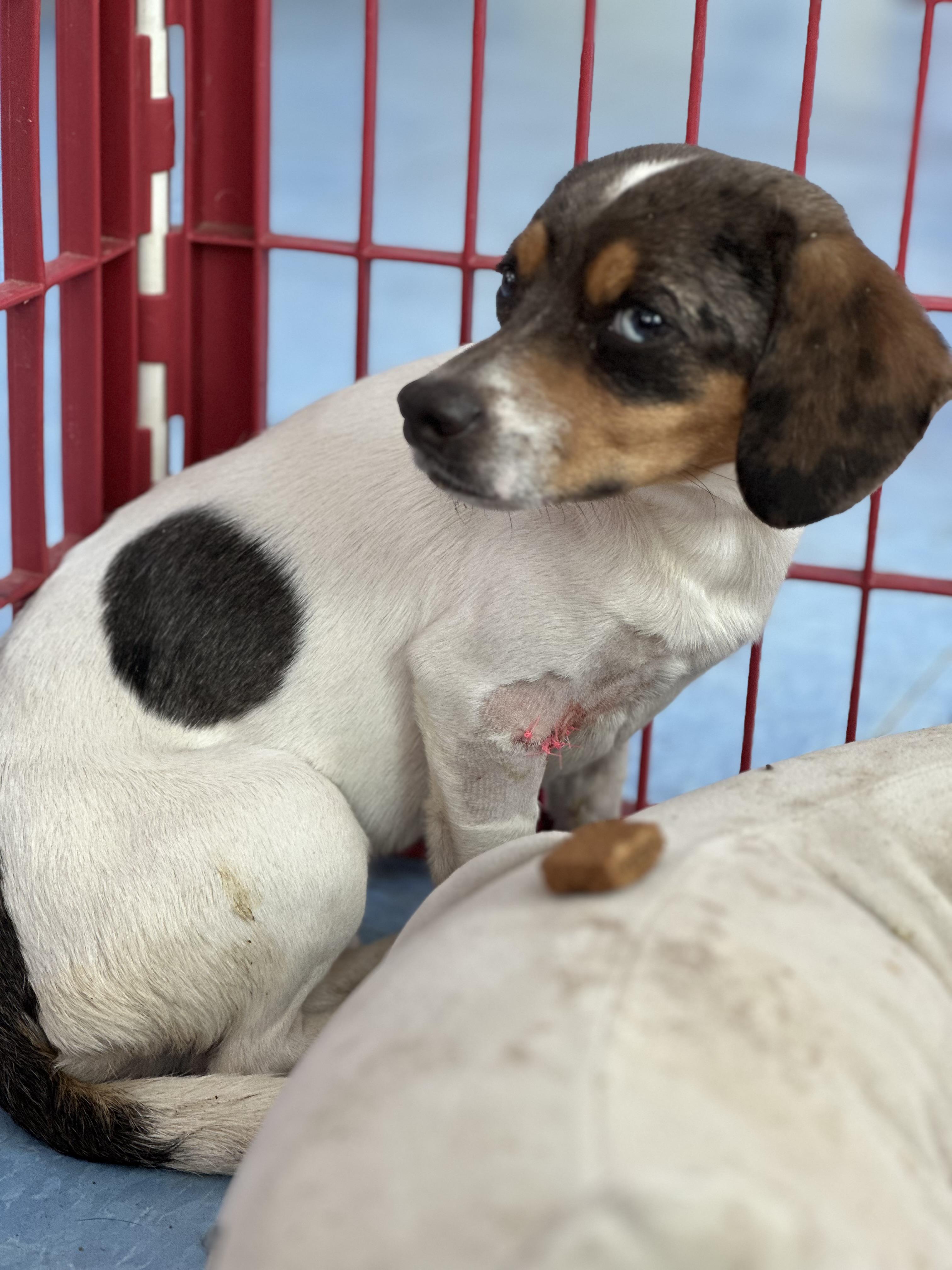 Landon — thumbnail 3