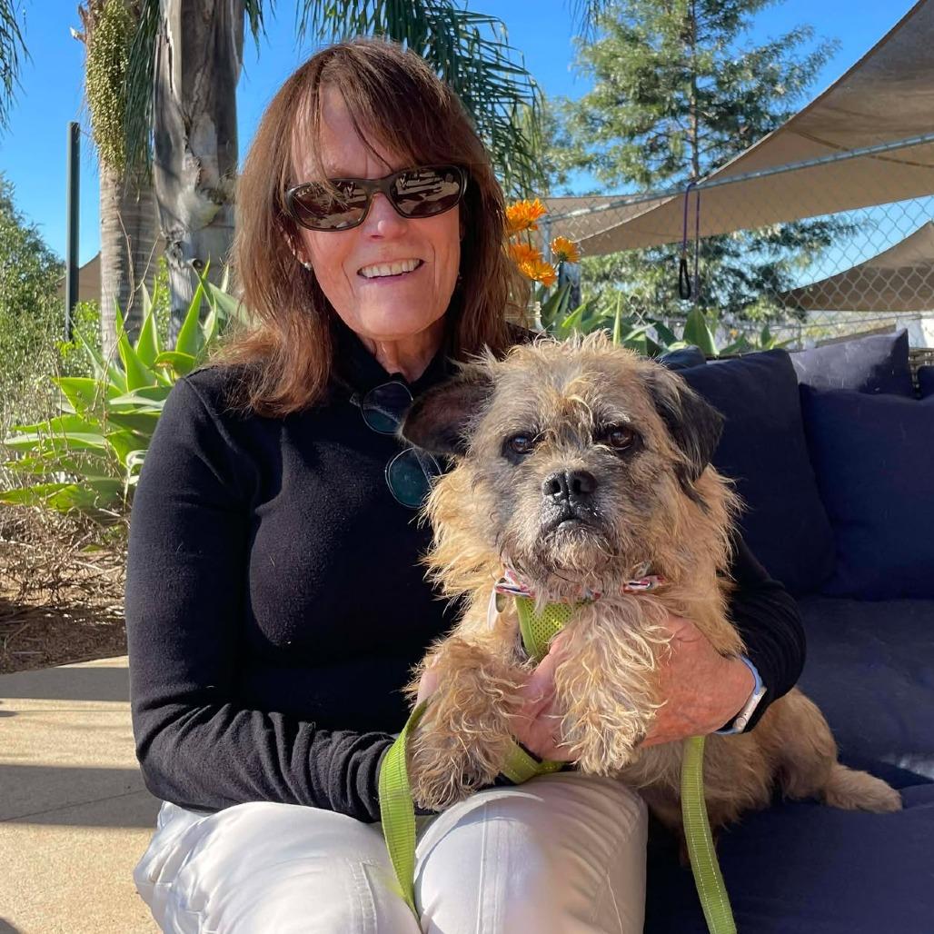 Gabe, Adoptable, Senior Male Terrier.