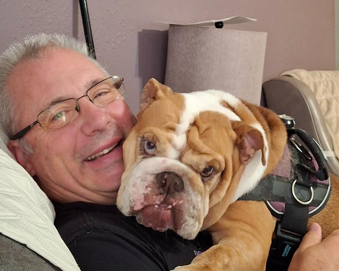 Harlow, an adoptable English Bulldog in Mendham, NJ image 5/5