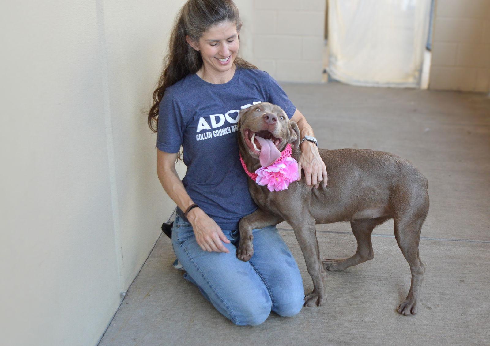 Enlarge Acadia, a Adoptable Pit Bull Terrier in McKinney, TX image 3/3