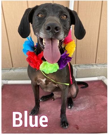 Blue