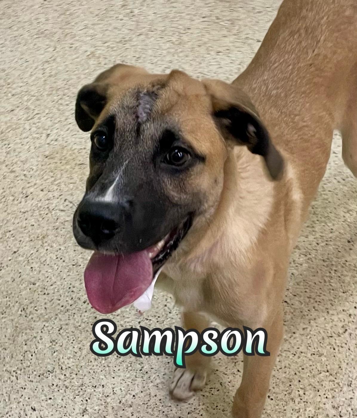 Sampson