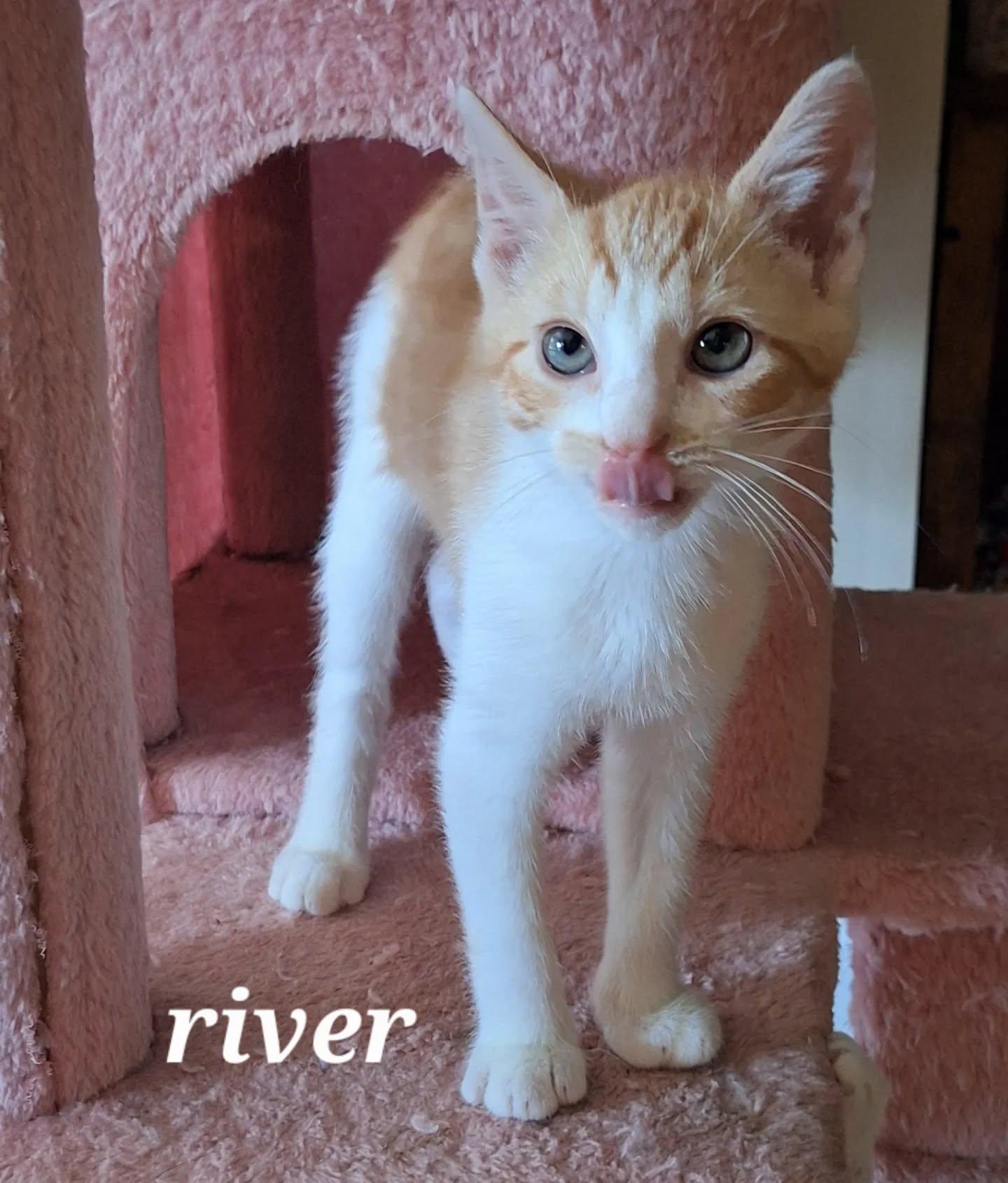 River