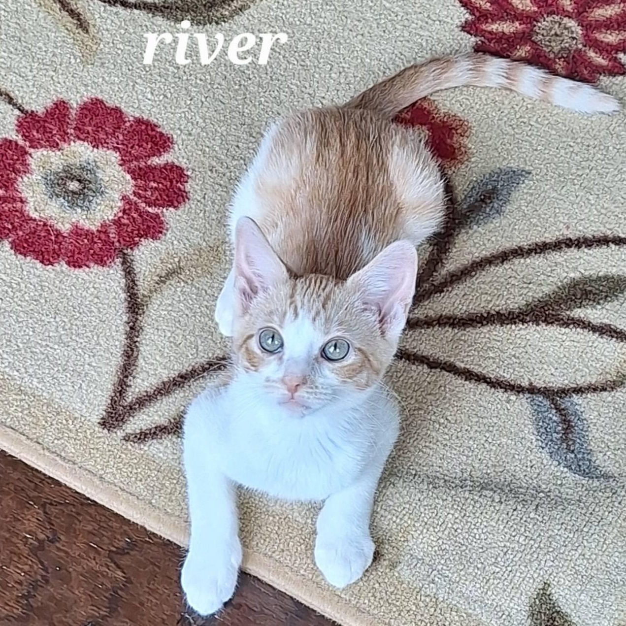 River