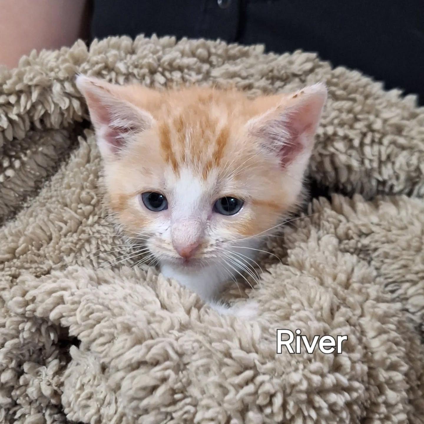 River