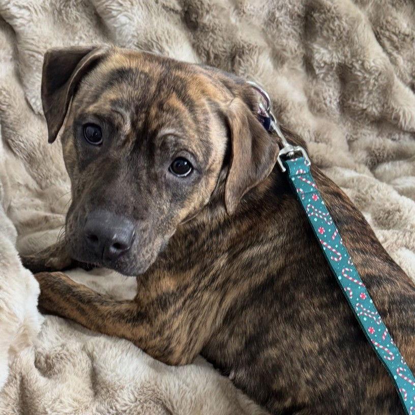 Moonwalk — thumbnail 2