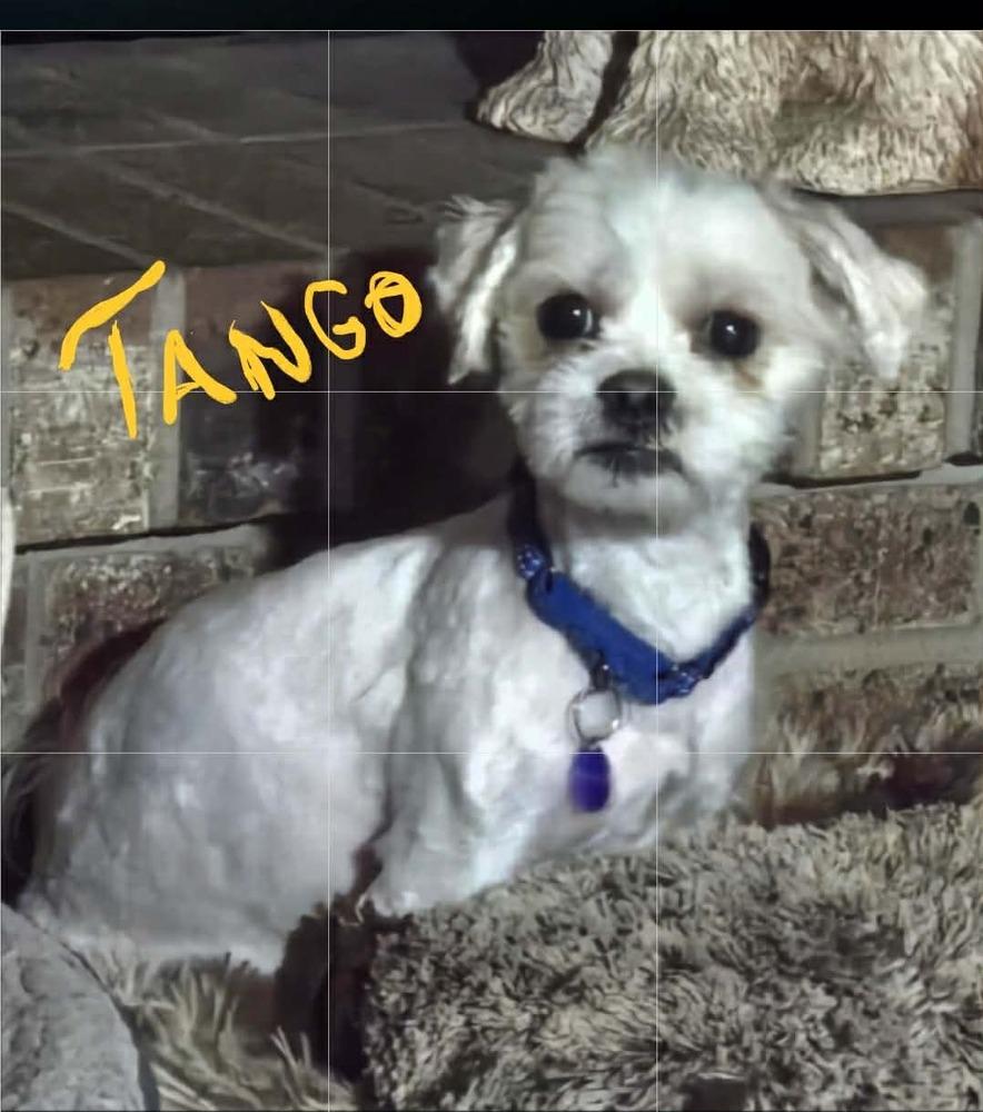 Tango