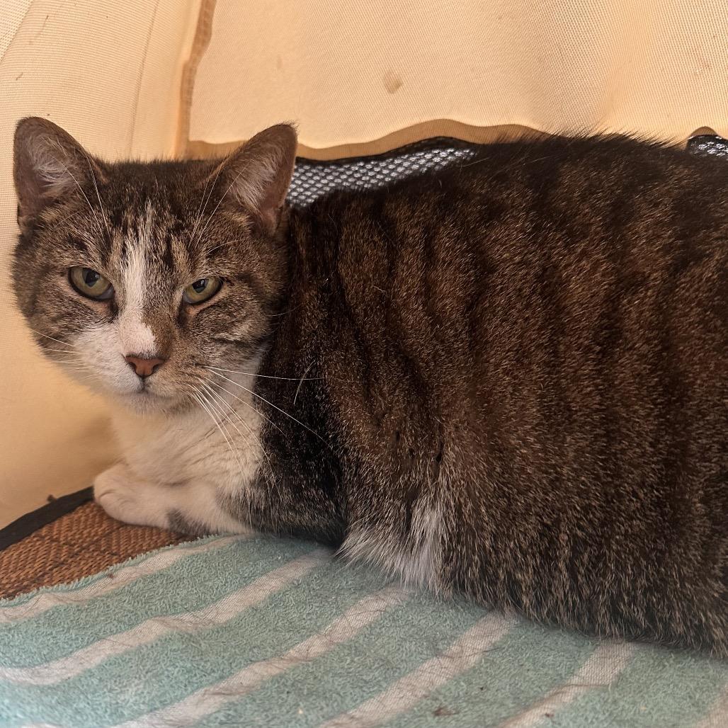 Mashpatabie — thumbnail 4