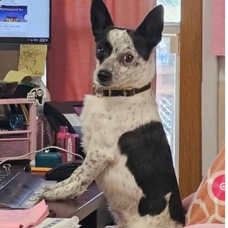 Fred - Good Hearted Boy 1