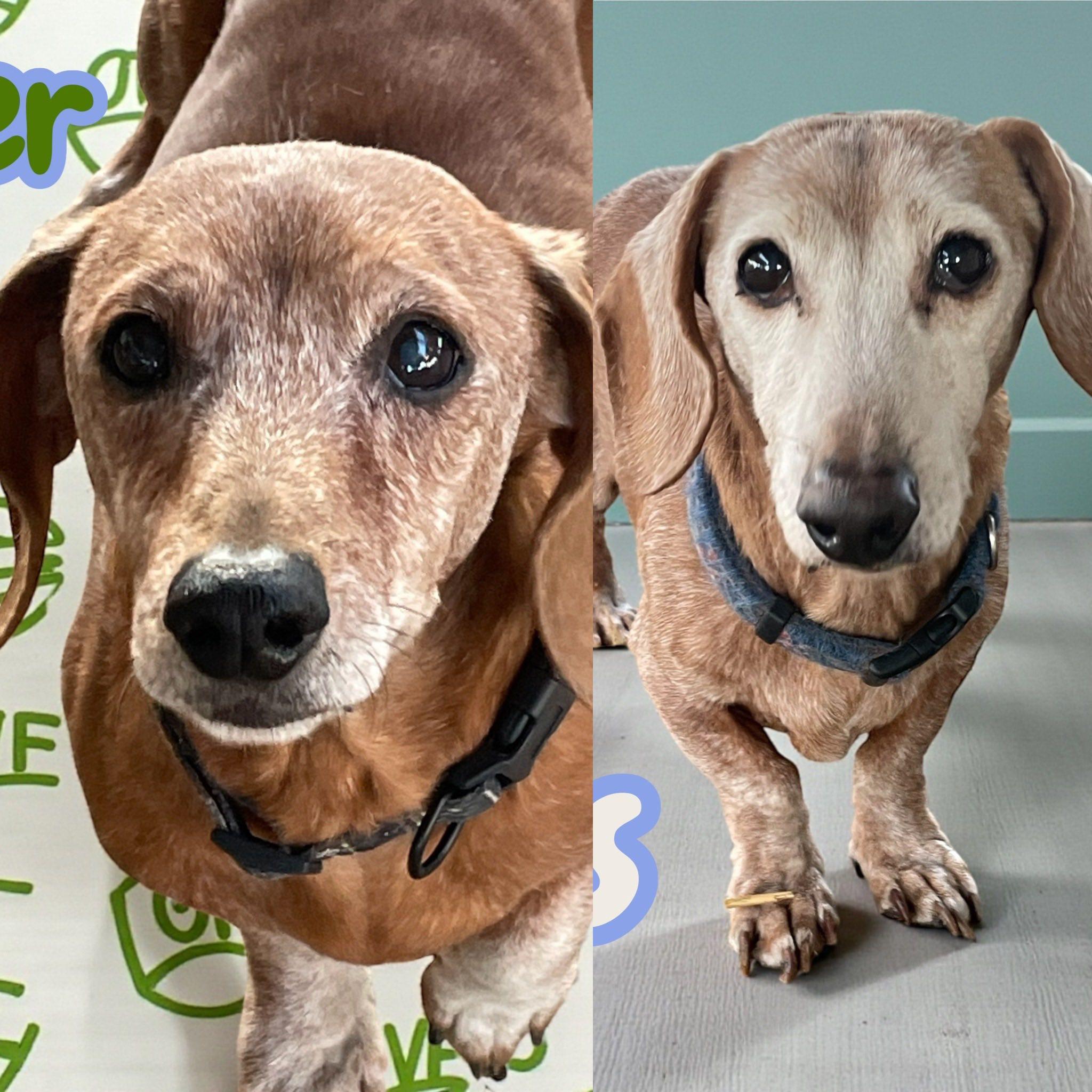 Tanner & Gus Nj thumbnail 6