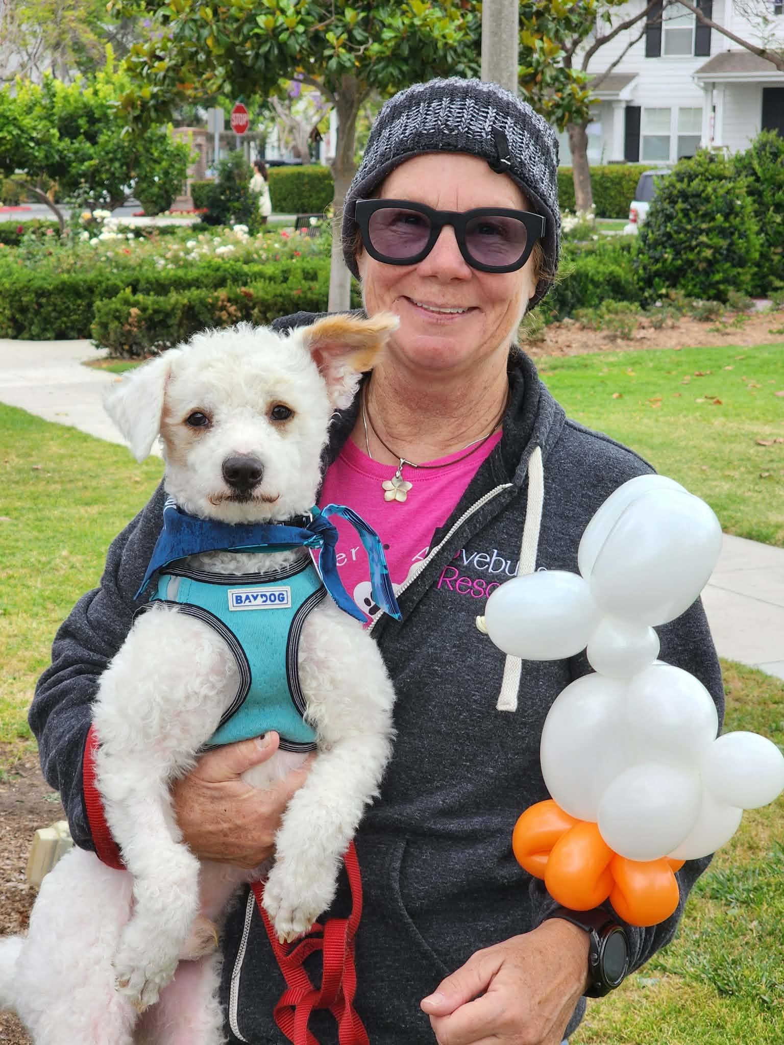 Limon, a ADOPTABLE mixed breed in Corona Del Mar, CA image 5/6