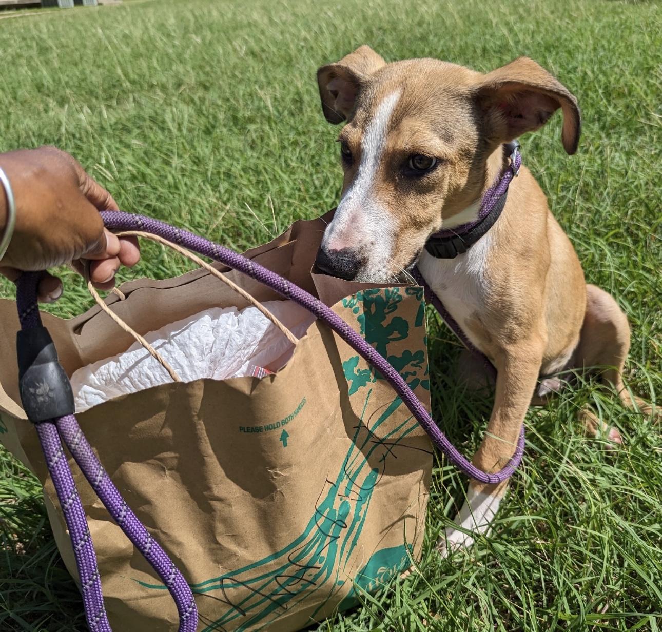 Maverick thumbnail 3