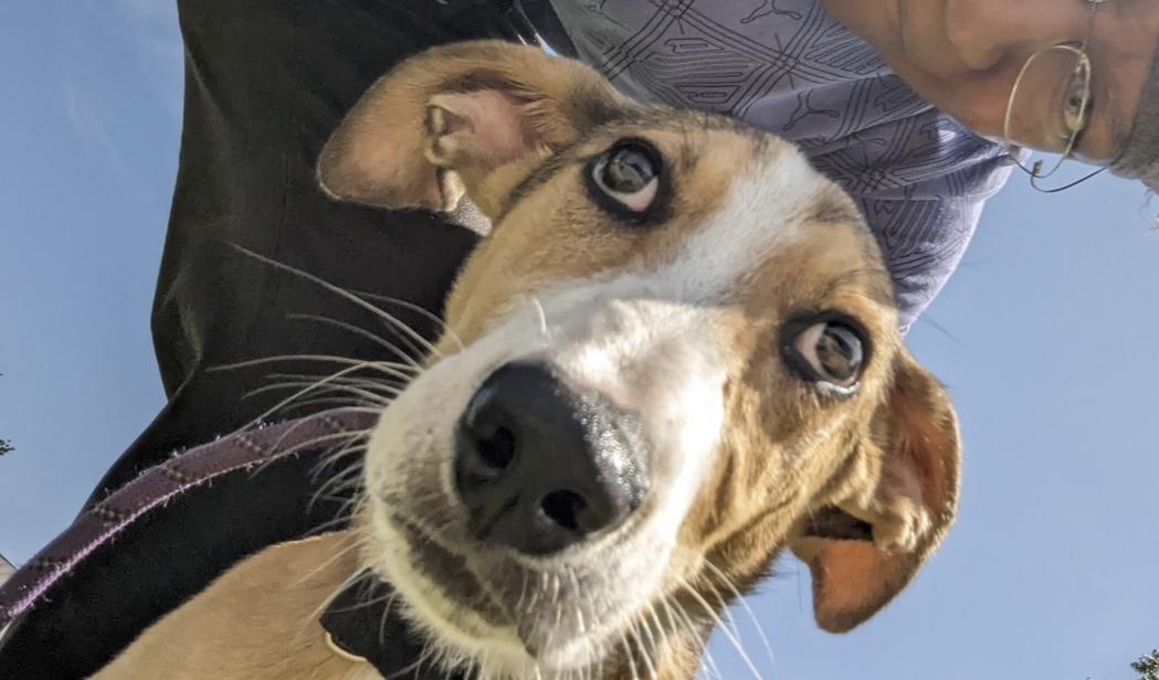 Maverick thumbnail 2