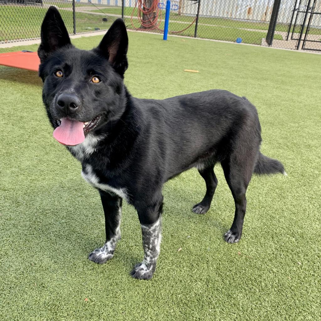 Zeus — thumbnail 3