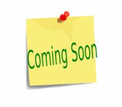 Enlarge Princess Daisy & Luigi, a Adoptable Guinea Pig in Baton Rouge, LA image 1/1