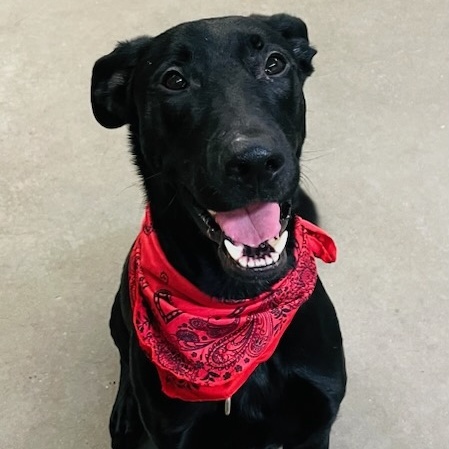 Wayne — thumbnail 6