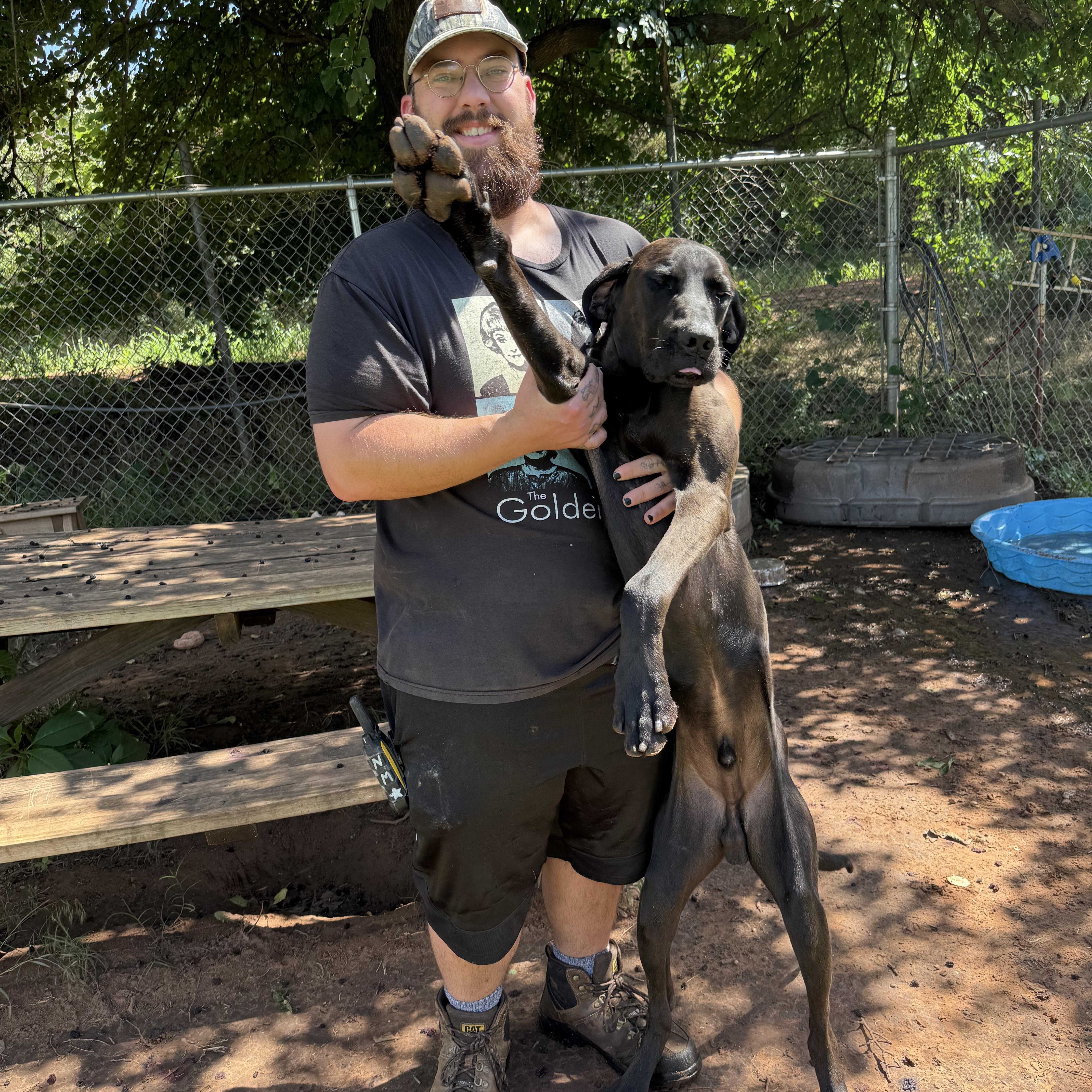 Enlarge Lancelot, a Adoptable mixed breed in Guthrie, OK image 6/6