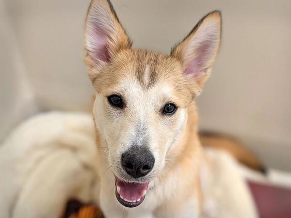 Taylor — thumbnail 2