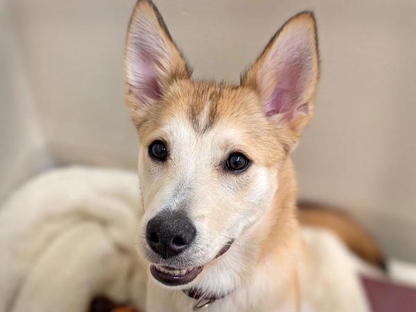 Taylor — thumbnail 5