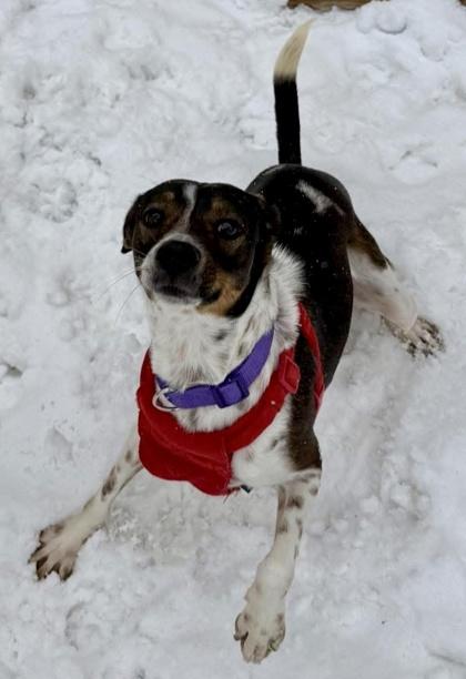 Barry — thumbnail 2