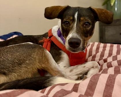 Barry — thumbnail 3