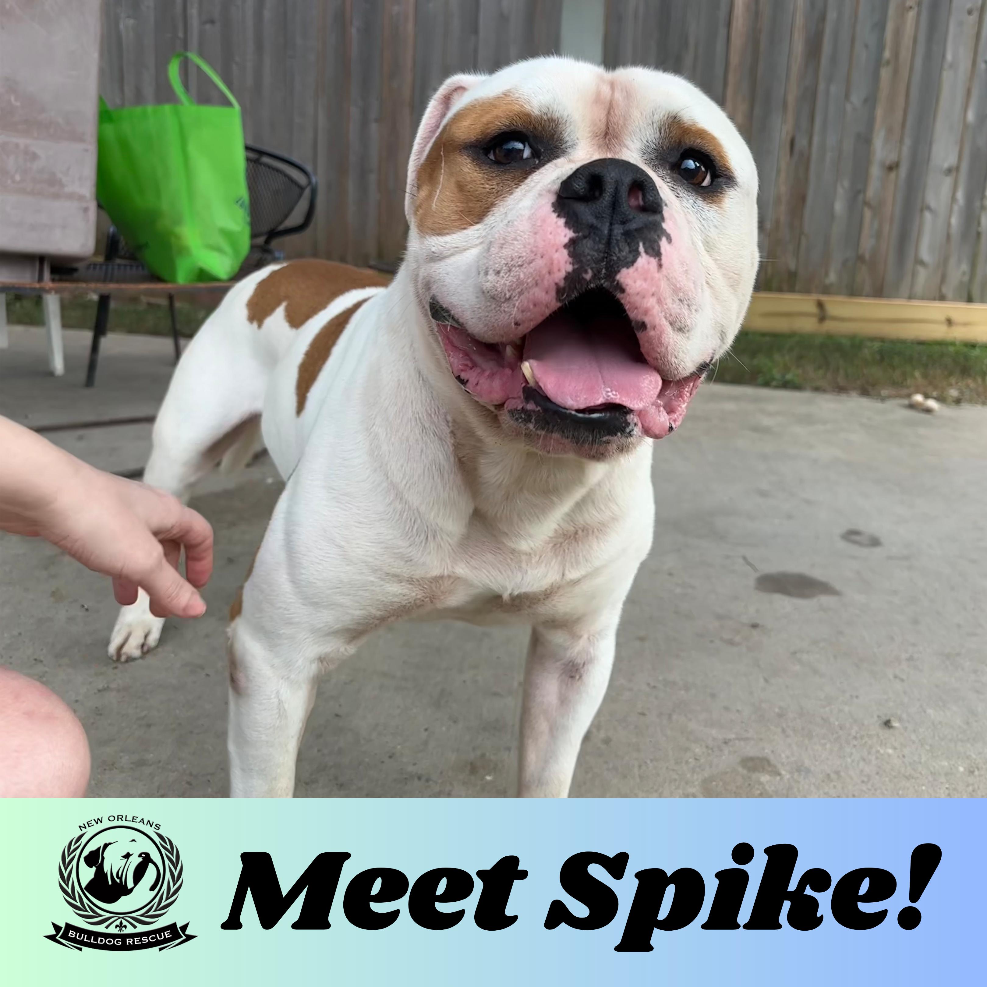 Spike
